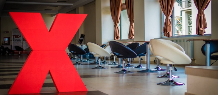 TEDxBacau - The Art of Doing