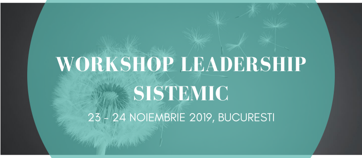 Workshop Leadership Sistemic